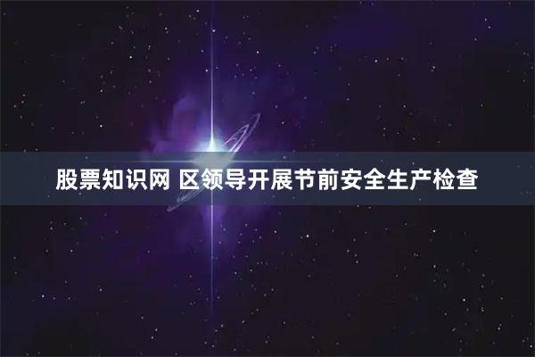 股票知识网 区领导开展节前安全生产检查